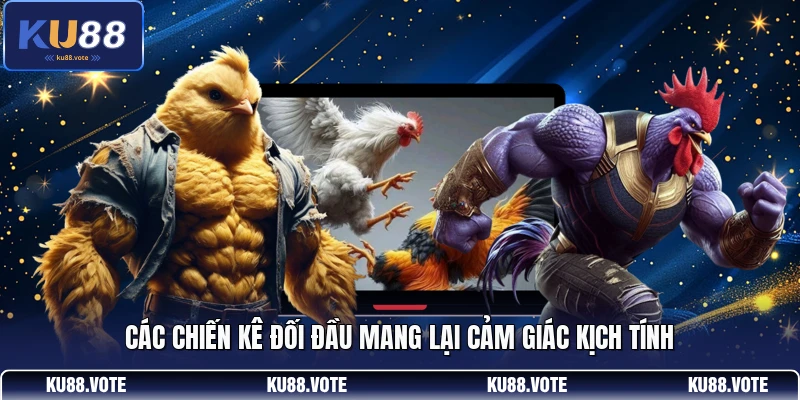 Các chiến kê đối đầu mang lại cảm giác kịch tính
