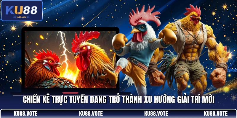 Chiến kê trực tuyến đang trở thành xu hướng giải trí mới
