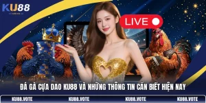 Đá Gà Cựa Dao KU88 Và Những Thông Tin Cần Biết Hiện Nay