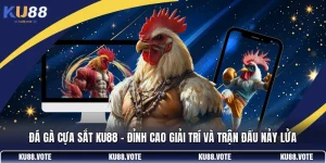 Đá Gà Cựa Sắt KU88 - Đỉnh Cao Giải Trí Và Trận Đấu Nảy Lửa
