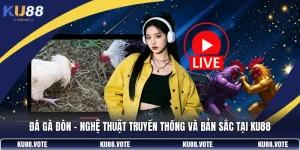 Đá Gà Đòn - Nghệ Thuật Truyền Thống Và Bản Sắc Tại KU88