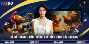 Đá Gà Thomo – Đấu Trường Kịch Tính Hàng Đầu Tại KU88