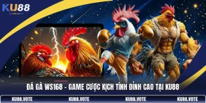 Đá Gà Ws168 - Game Cược Kịch Tính Đỉnh Cao Tại KU88