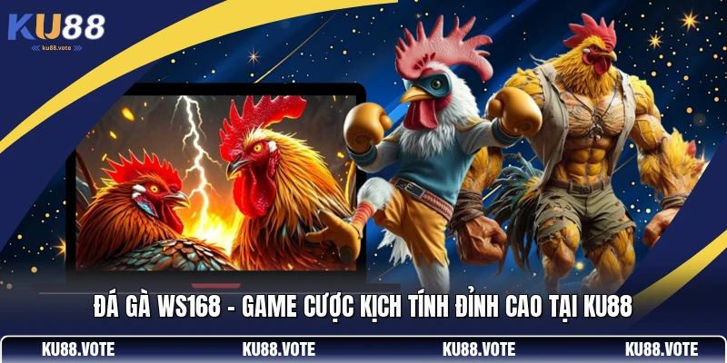 Đá Gà Ws168 - Game Cược Kịch Tính Đỉnh Cao Tại KU88