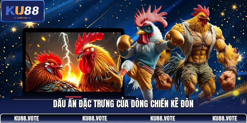 Dấu ấn đặc trưng của dòng chiến kê đòn 