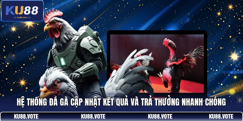 Hệ thống đá gà cập nhật kết quả và trả thưởng nhanh chóng