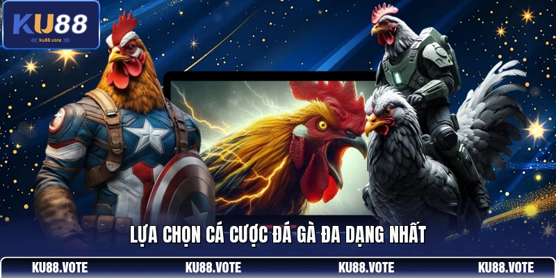 Lựa chọn cá cược đá gà đa dạng nhất