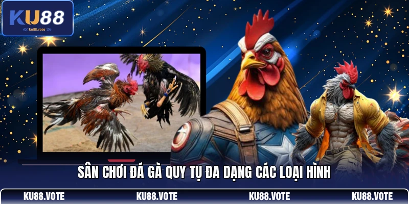 Sân chơi đá gà quy tụ đa dạng các loại hình